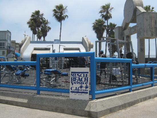 Muscle Beach Venice California